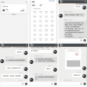 博系九台活不起了？ 支付宝充值1k，到账中心钱包又直接锁定 ...